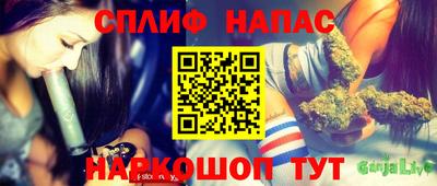 индика Ставрополь