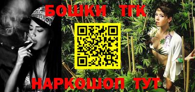 индика Ставрополь