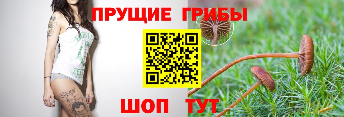 Галлюциногенные грибы мухоморы Нефтекумск